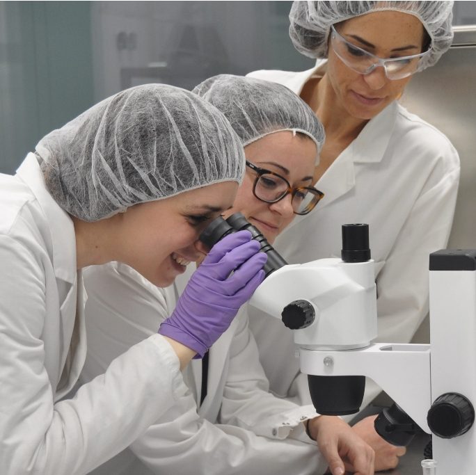 Our expertise at your service